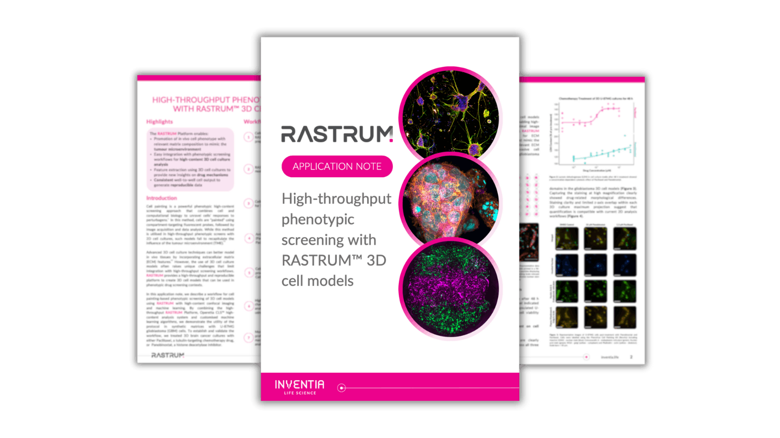 High Throughput Phenotypic Screening With Rastrum邃 3d Cell Models High Throughput Phenotypic Screening With Rastrum邃 3d Cell Models